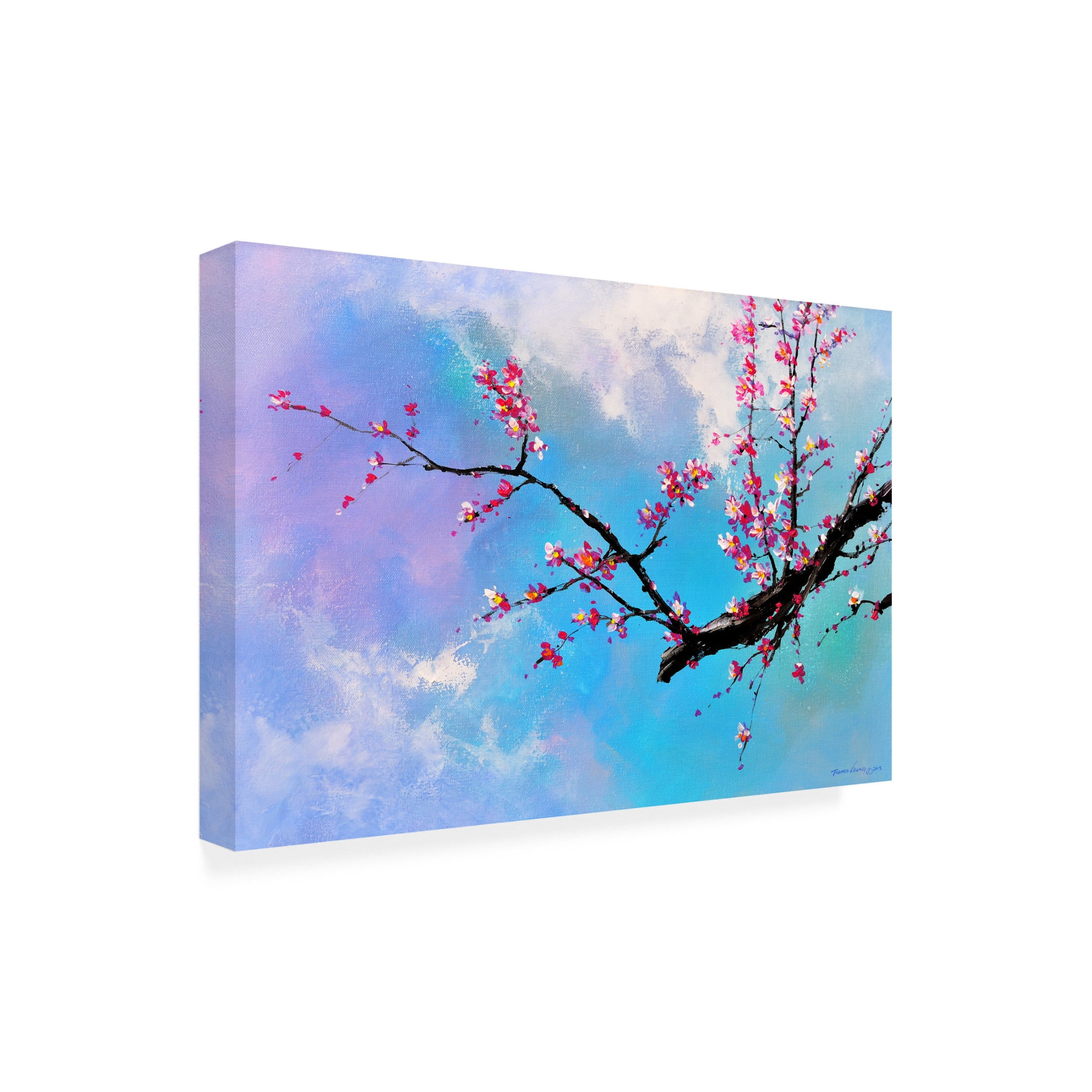 Canvas Wall Art - Thomas Leung 'Blossom Flower' Wall Art for Living Room, Bedroom, or Office Décor by Trademark Fine Art - 47 x 30 Inches