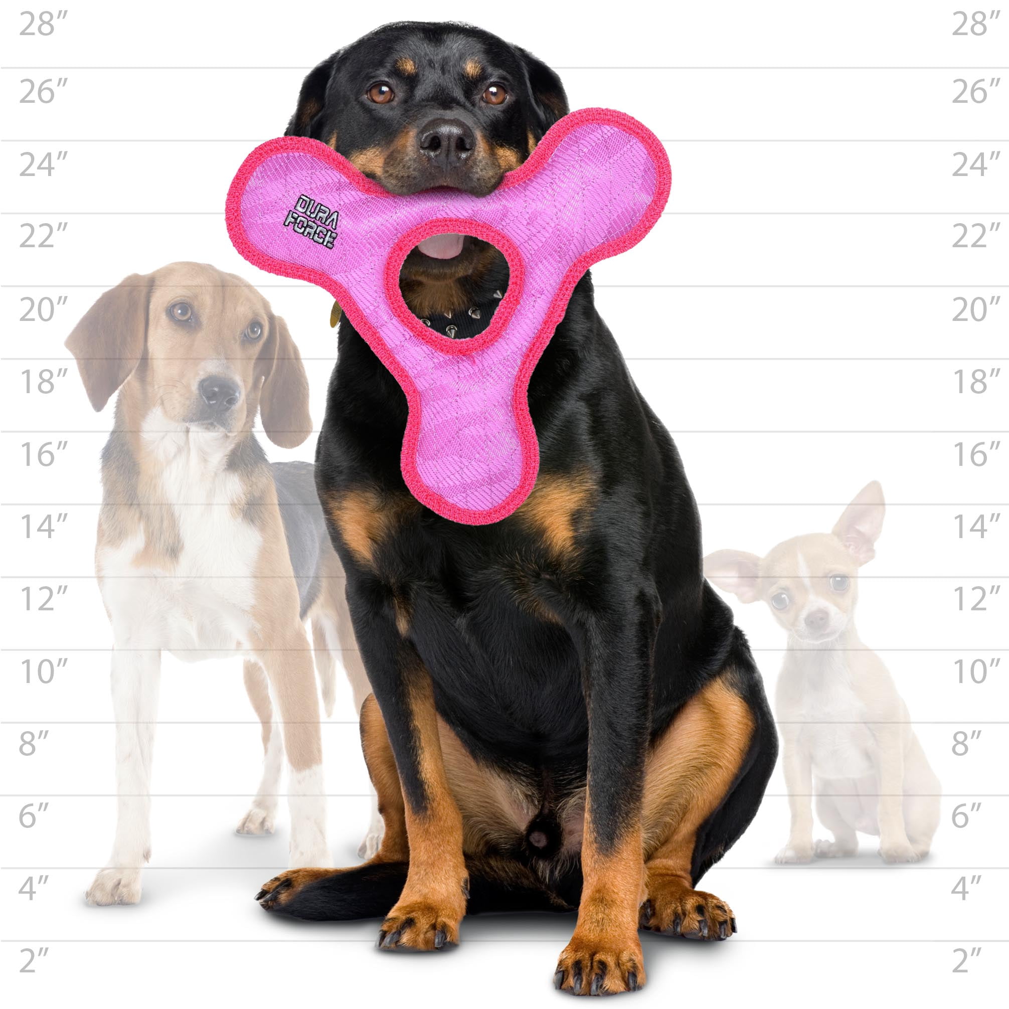 DuraForce Triangle Ring Tiger Pink-Pink, 2-Pack, Durable Woven Mesh Fiber Squeaky Dog Toy