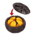 thumbnail image 2 of 3d Puzzle Sea Urchin Educational Toy Afortunado Sencillez, 2 of 5