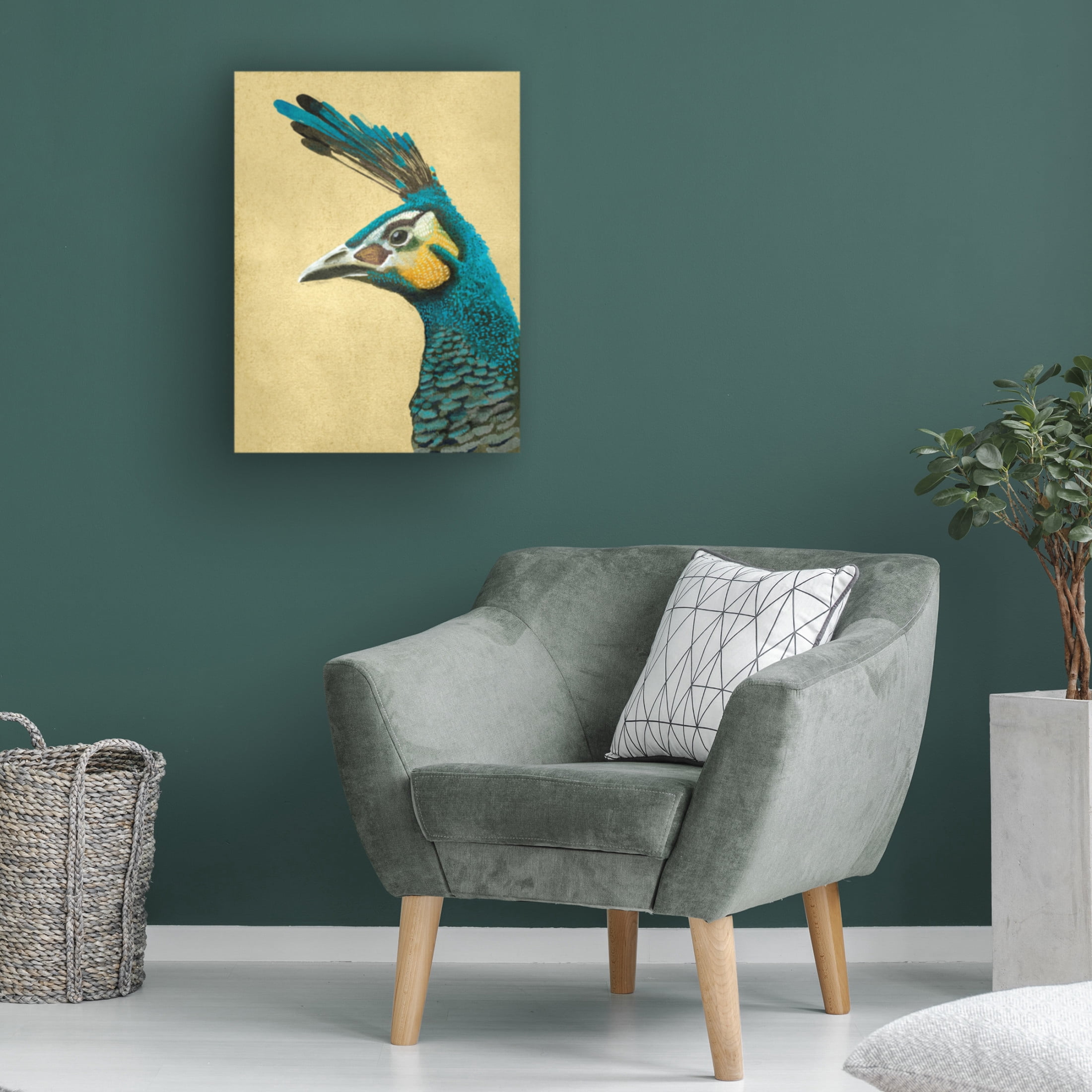 Trademark Fine Art Katie O'Shea Peacock Profile I Canvas Wall Art