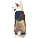 thumbnail image 1 of Fotbe Starry Sky Constellation Cat Sudadera con Estampado para Perros Pequeños – Suéter con Capucha para Mascotas, Tela Suave de Forro Polar con Bolsillo-X-Large, 1 of 7