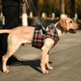 thumbnail image 3 of Dog Lift Harness,Adjustable Support Rehab Harness for Dog Disabled Joint Injuries Arthritis Walk,XL, 3 of 5