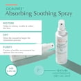 thumbnail image 2 of Eau Thermale Avène Cicalfate+ en aerosol, absorbente y calmante, 100 ml, 2 of 6
