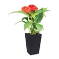 thumbnail image 2 of DCN Plastic Harmony Tall 12 x 12 x 18 Inch Flower Pot Planter, Black, 2 of 3
