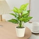 thumbnail image 4 of Artificial Potted Plants Realistic Simulation Green Plants Indoor Home Desk Bookshelf Decor Faux Greenery Decorative Houseplants for Living Room Office, 4 of 6