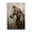 Brown Horse Portrait Painting, variant on Stupell Industries Magnificent Mare Standing Animals & Insects Painting Gallery Wrapped Canvas Art Print Wall Art, 16 x 24