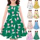 thumbnail image 1 of Girls 2025 Summer Dresses Sleeveless Floral Dress Summer Casual A-Line Sundress with Flowers ,Sie:120, 1 of 4