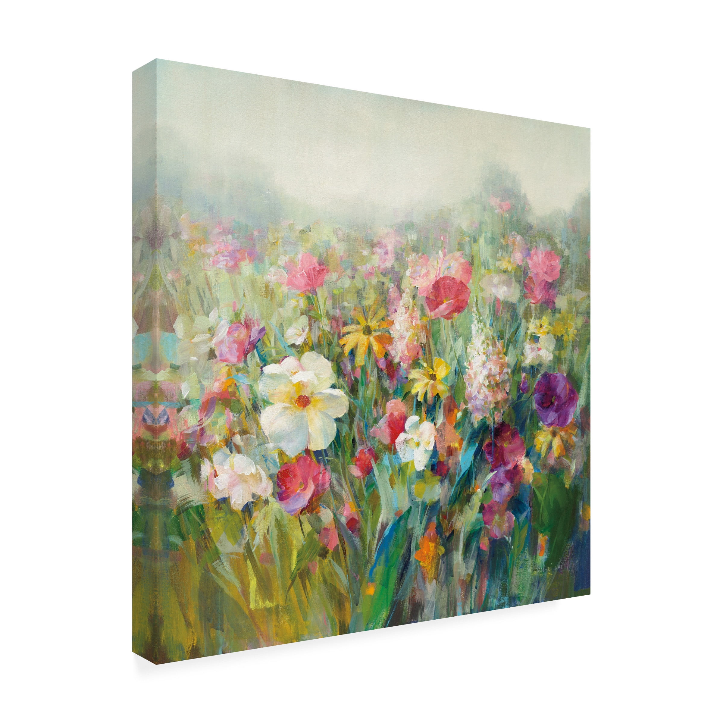 Danhui Nai 'Mountain Meadows' Canvas Art