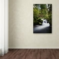 thumbnail image 4 of Trademark Fine Art "Waterfall in the Forest" Canvas Art by Philippe Sainte-Laudy, 4 of 4
