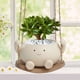 thumbnail image 5 of Maceta colgante macetas suculentas creativas y bonitas para plantas de interior y exterior, 5 of 8
