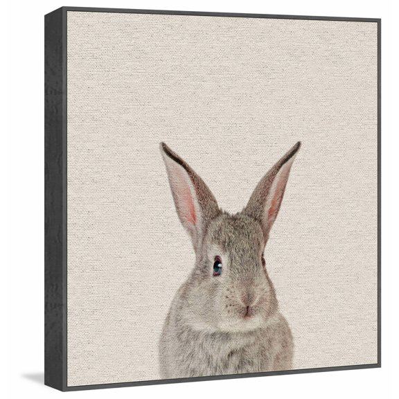 Bunny Surprise Floater Framed Painting Print on Canvas