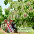 thumbnail image 4 of Fuebueo Garden Netting Clearacne Fruit Protection Bags 100 Pcs Green Fruit Netting Cover Bags Drawstring Mesh Fruit Protectors Pest Barrier for Plant Fruit Flower Veggies Garden - Large, 4 of 8