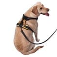 thumbnail image 2 of Yiaed Pumpkin Pie Gnome Print Dog Harness, No-Pull Pet Harness, Adjustable Padded Dog Vest, Reflective No-Choke Pet Oxford Vest with Easy Control Handle-Medium, 2 of 6
