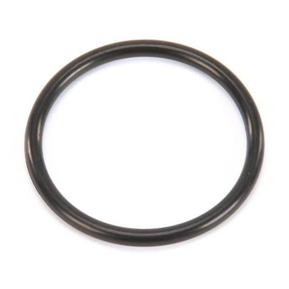 Drain Adapter O-Ring