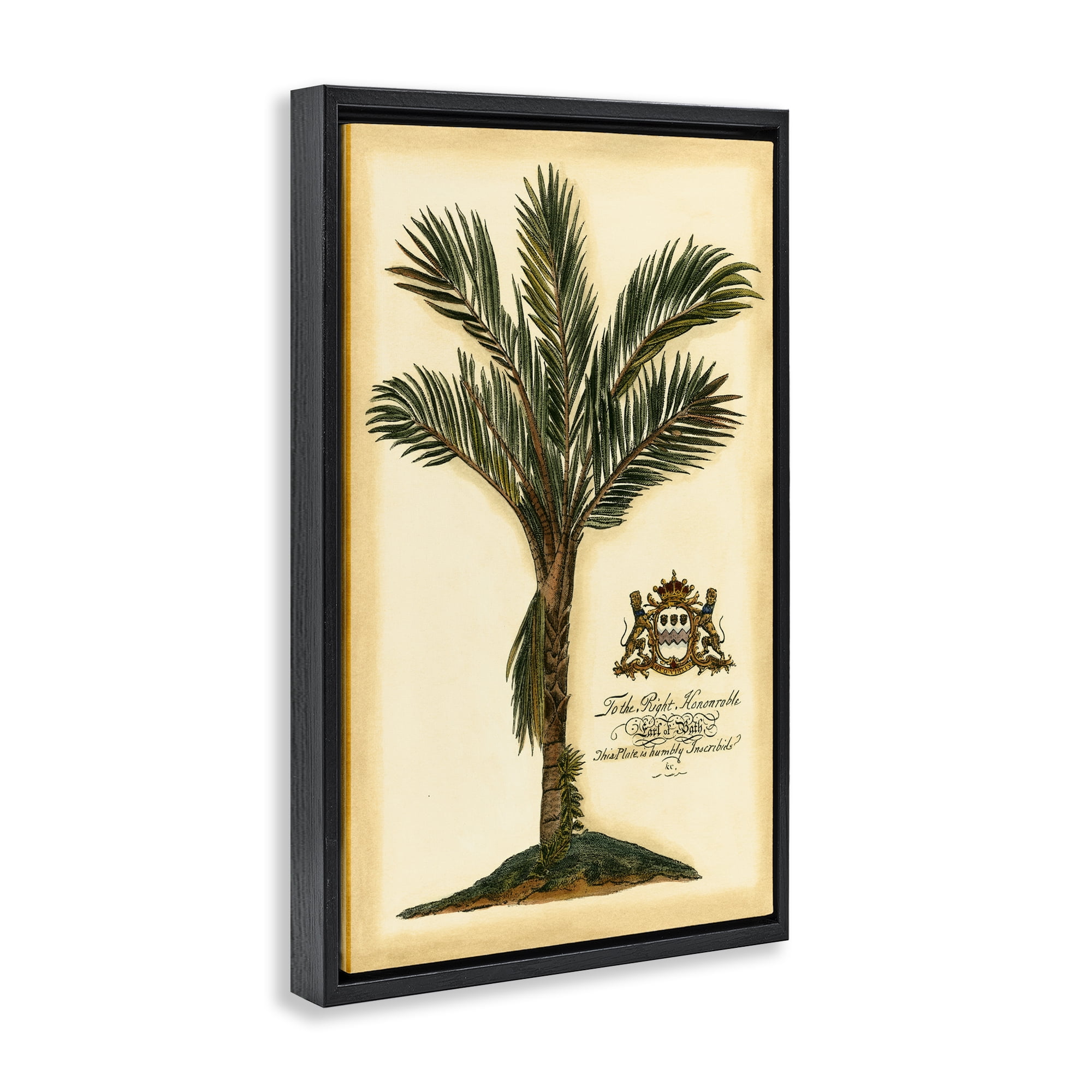 Stupell Industries Vintage Colonial Palm Black Framed Floater Canvas Wall Art, design by Vision Studio