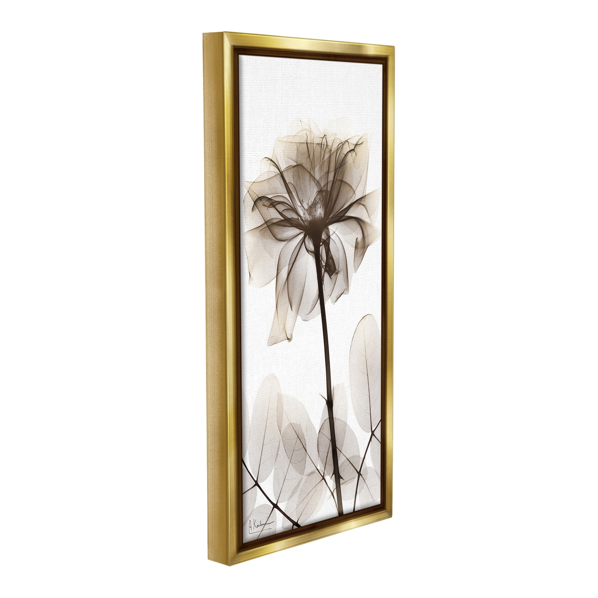 Stupell Industries Blooming Opaque Flower Botanical & Floral Photography Gold Floater Framed Canvas Art Print Wall Art, 14 x 31