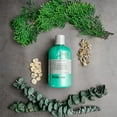 thumbnail image 4 of Anthony Invigorating Rush Cheveux et Corps 12 oz (Lot de 2), 4 of 5