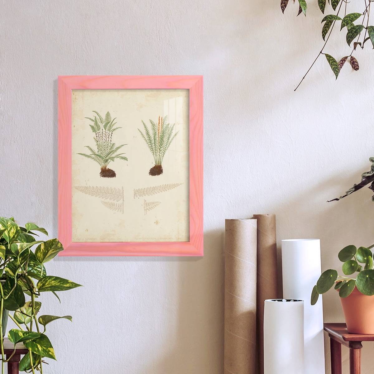 Fern Study III -Framed Print w/glass-Sunset Pink