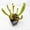 Barba Green, variant on Velvet Trumpet Pitcher Plant - 1 Live Starter Plant - Sarracenia - Beautiful Colorful Easy Care