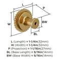 thumbnail image 5 of Amerock Farewind 1-1/4 inch (32mm) Diameter Champagne Bronze Cabinet Knob, 5 of 6
