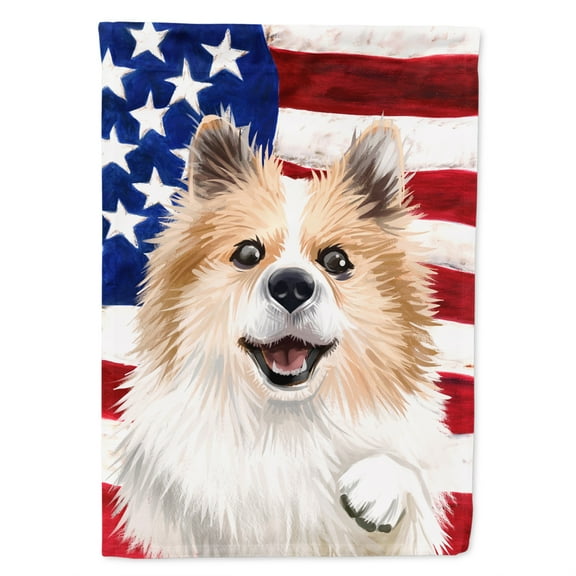 Carolines Treasures CK6566CHF Icelandic Sheepdog Dog American Canvas House Size Outdoor-Flags, Multicolor