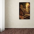 thumbnail image 3 of Trademark Fine Art "Abandoned Stone Staircase" Canvas Art by Lois Bryan, 3 of 3