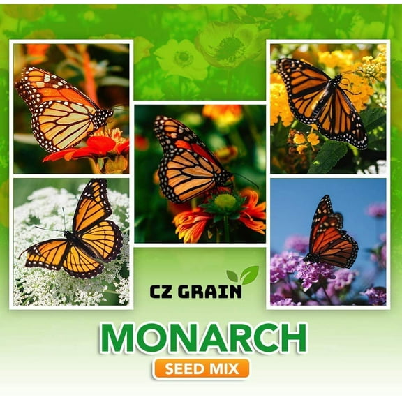 Monarch Butterfly Garden Seed Kit - Annual and Perrenial Wildflowers and Milweed Seeds