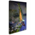thumbnail image 2 of Trademark Fine Art "Hanging Around" Canvas Art by Yale Gurney, 2 of 3