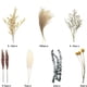 thumbnail image 3 of Decoración del hogar boho: flores secas naturales, flores secas prácticas con tallos ajustables para un ramo único, belleza duradera, adecuadas para decoración interior y exterior, regalo perfecto, 3 of 7