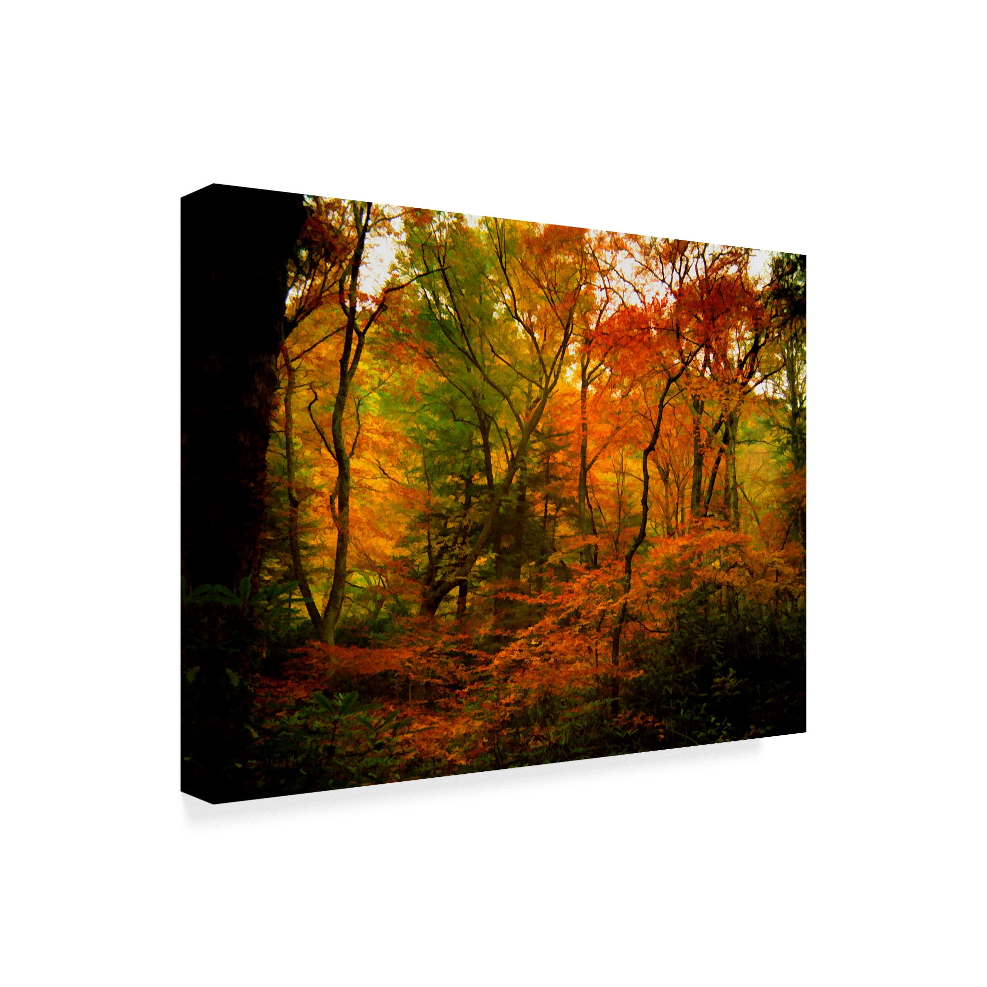 Trademark Fine Art 'Deep Woods' Canvas Art by J.D. McFarlan