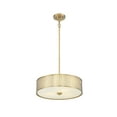 thumbnail image 5 of Trade Winds Lighting 3-Light Pendant Light In Natural Brass, 5 of 6