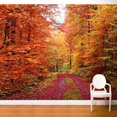 thumbnail image 2 of ADZif Fresk Indian Summer Wall Mural, 2 of 5
