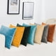 thumbnail image 4 of Paquete de 2 fundas de cojín cuadradas decorativas de terciopelo suave, fundas de almohada, decoración del hogar, decoraciones para sofá, cama, silla, 4 of 8