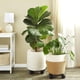 thumbnail image 3 of Cajas De Metal Para Plantas Con Ruedas, Paquete De 4 Soportes Para Plantas Con Ruedas Para Macetas De Interior Y Exterior, 30 Cm De Diámetro, 3 of 5