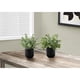 thumbnail image 2 of Planta artificial - 28 cm de alto - Interior - Mesa - Maceta - Hojas verdes, 2 of 6