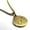 Gold, variant on Stainless Steel Scorpio (Scorpion) Astrology Constellation Round Medallion Pendant Necklace
