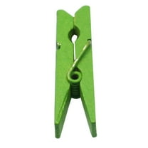 HongHeng Clothespins, Small Clothes Pins for Photos, 100PCS Mini Clothes Pins, Strong Springs Colorful Clothespins with Storage Bag, Mini Clothespins for Photos, Crafts, Pictures, Art