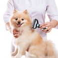 thumbnail image 4 of Pet Grooming Rake - Double-Sided Deshedding Dematting Tool, Undercoat Rake for Dogs & Cats, Dog Grooming Brush & Deshedder Comb for Long Hair, Reduces Shedding (1Pcs) Sky Blue, 4 of 7