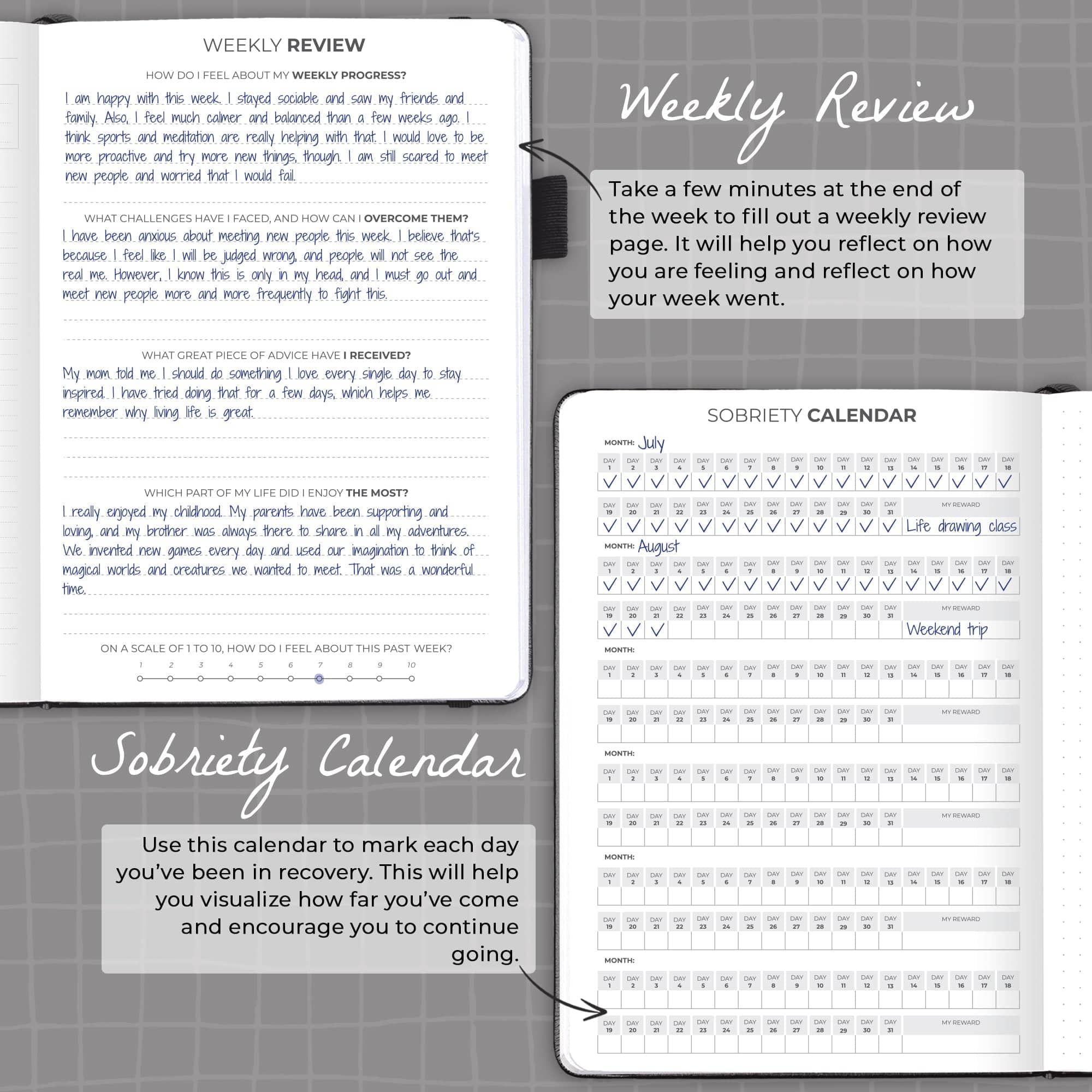 Clever Fox Addiction Recovery Journal