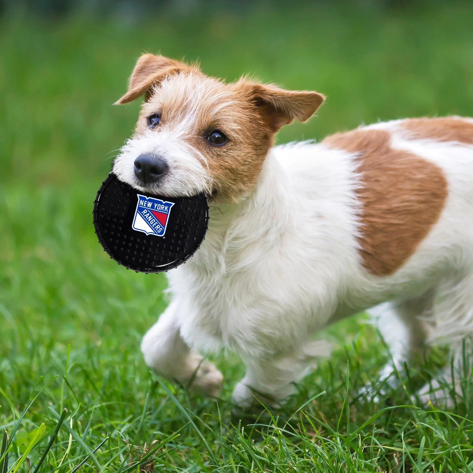 Pets First NHL Hard-Nylon Pet Toy Flavored Dog Chew Toys for Aggressive Chewers