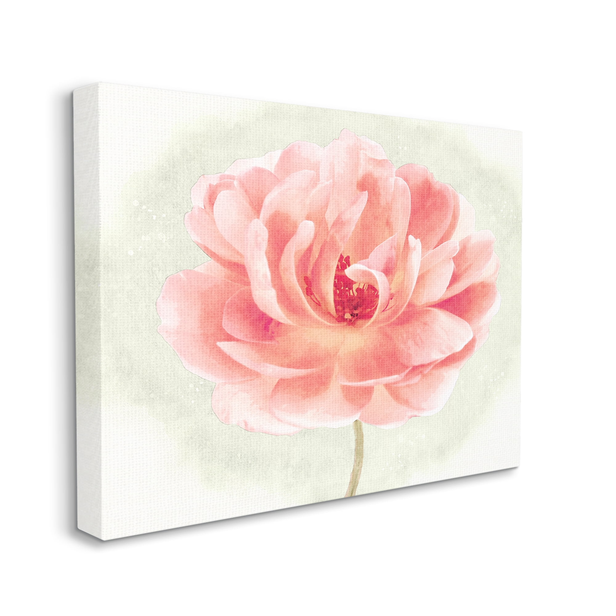 Stupell Industries Soft Pink Peony Botanical & Floral Painting Gallery Wrapped Canvas Art Print Wall Art, 20 x 16