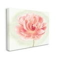 thumbnail image 4 of Stupell Industries Soft Pink Peony Botanical & Floral Painting Gallery Wrapped Canvas Art Print Wall Art, 48 x 36, 4 of 8