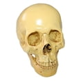 thumbnail image 1 of Modelo de cráneo desmontable Creativo Realista Home Bar Escritorio Escultura decorativa Regalo Divertido Cráneos Enseñanza Proporaje para fiesta Halloween Speravity HA011082-00B, 1 of 7