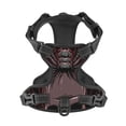 thumbnail image 4 of Lsque Spider with Skull Dog Harness, No-Pull Pet Harness with 2 Leash Clips, Adjustable Soft Padded Dog Vest with Easy Control Handle for Large Dogs-, 4 of 9