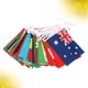 thumbnail image 3 of Bandera nacional de cuerda, 100 países, banderas del mundo, pequeñas banderas colgantes para decoración de bares., 3 of 6