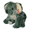 Ty Buddy: Eucalyptus the Koala | Stuffed Animal | MWMT's