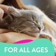 Kitty Caps Nail Caps for Cats Stylish Large 13 lbs+ Green Ultra Violet