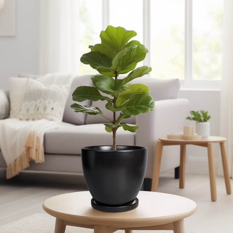 Ordivic 8" Black Ceramic Round Planter with Saucer photo 2