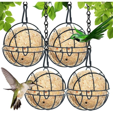 Aider les oiseaux en fabriquant des mangeoires et des boules de