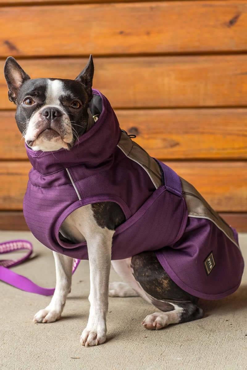 Cheap dog cheap coats australia